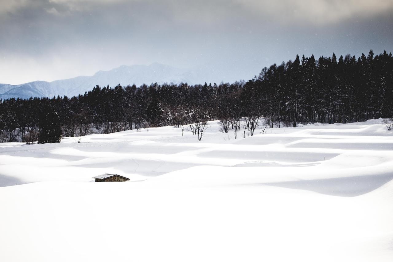 Hakuba Cortina Lodge Otari Buitenkant foto